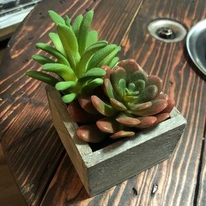 Decorative Wood Box Fake Succulent Plant #1 🌱
